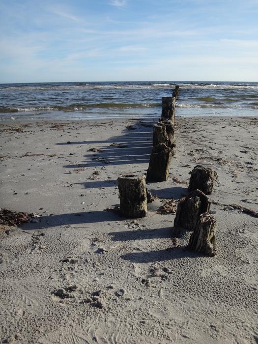 piles on Beach Sea Baltic