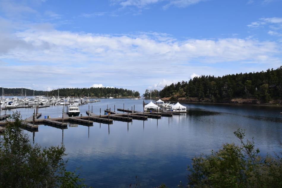 lake with a long bridge in the park