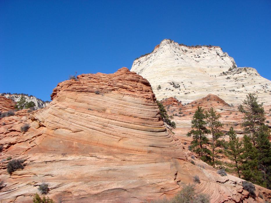 Zion National Park