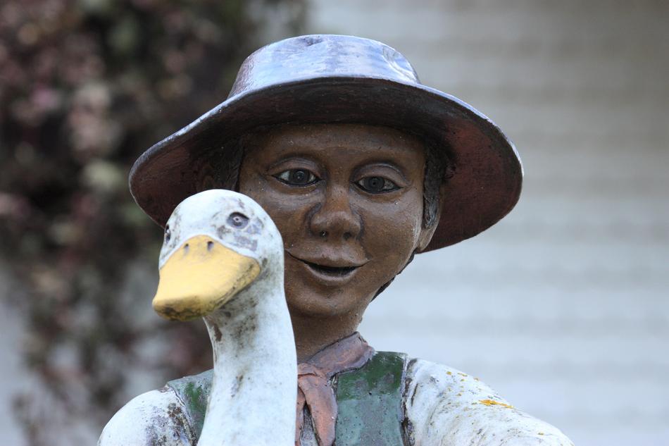 Black boy and goose