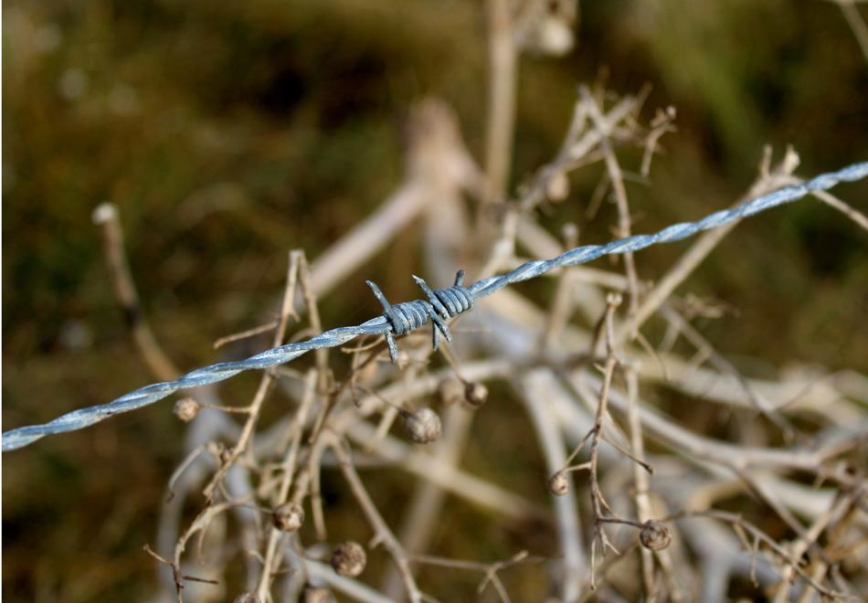 Barbed Wire Fence and Marsh
