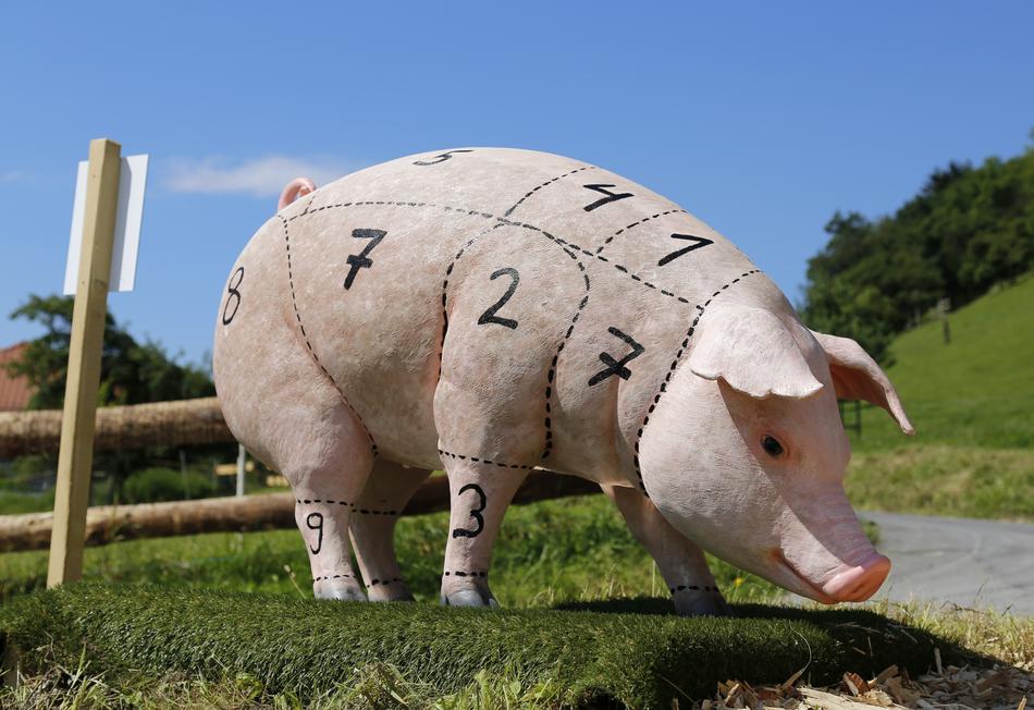 pig written in numbers
