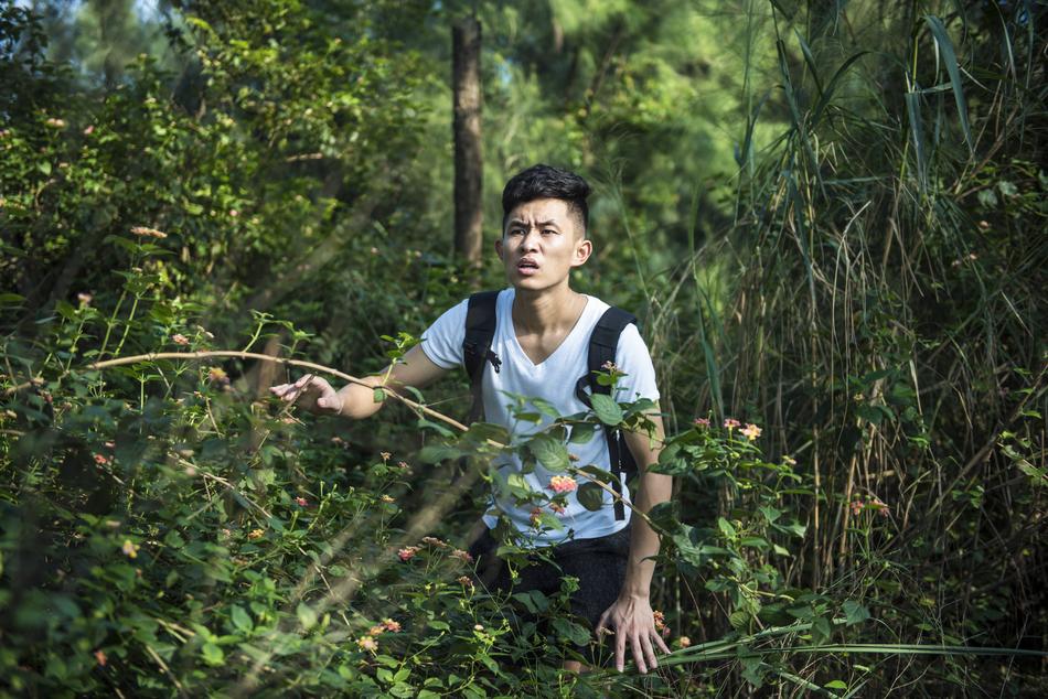 The Wild Forest Get Lost