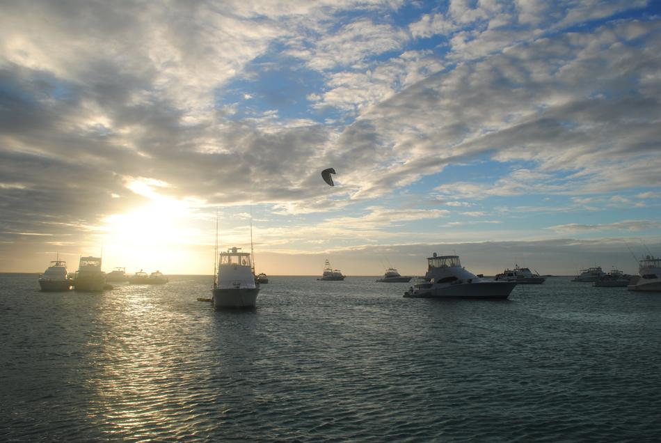 harbour Boats Yacht