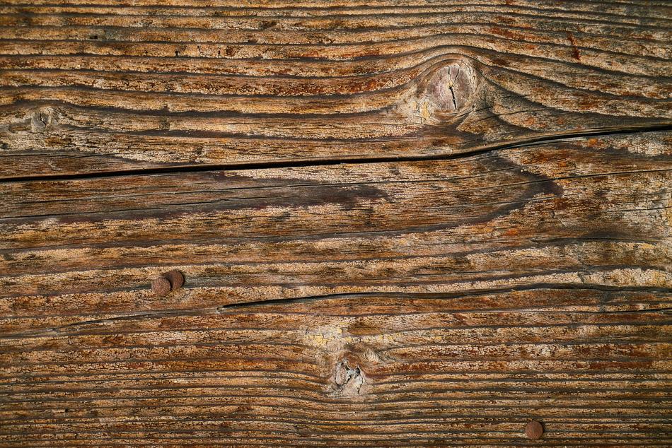 Wood Texture brown