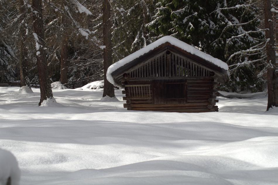 Winter Snow Wintry