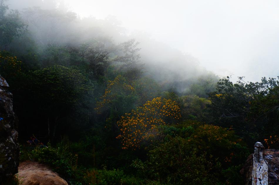 El Salvador Cloudy Mist