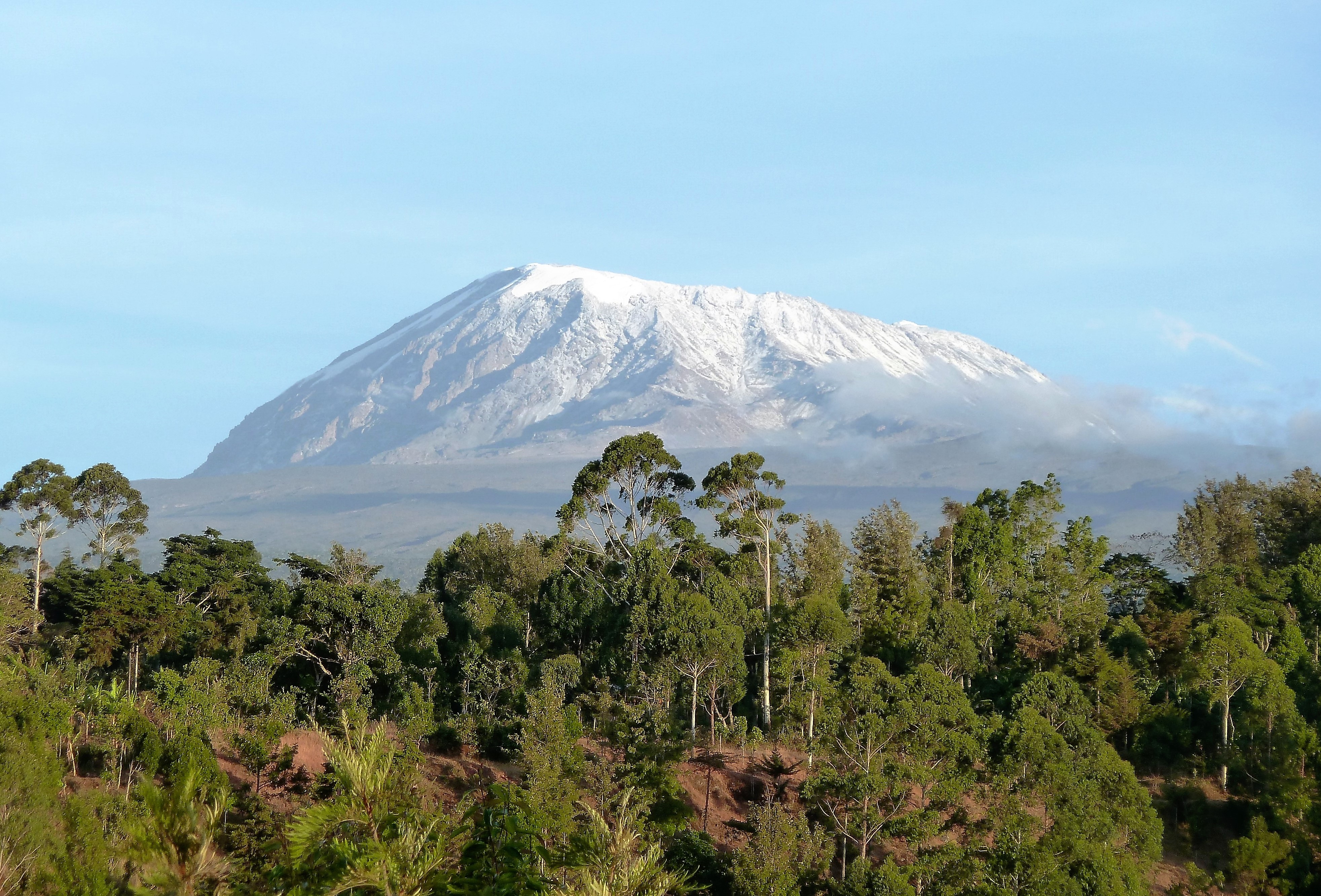 Самые высокие африки. Танзания гора Килиманджаро. Танзания вулкан Килиманджаро. Гора Килиманджаро в Танзании, Африка. Саванна Килиманджаро.