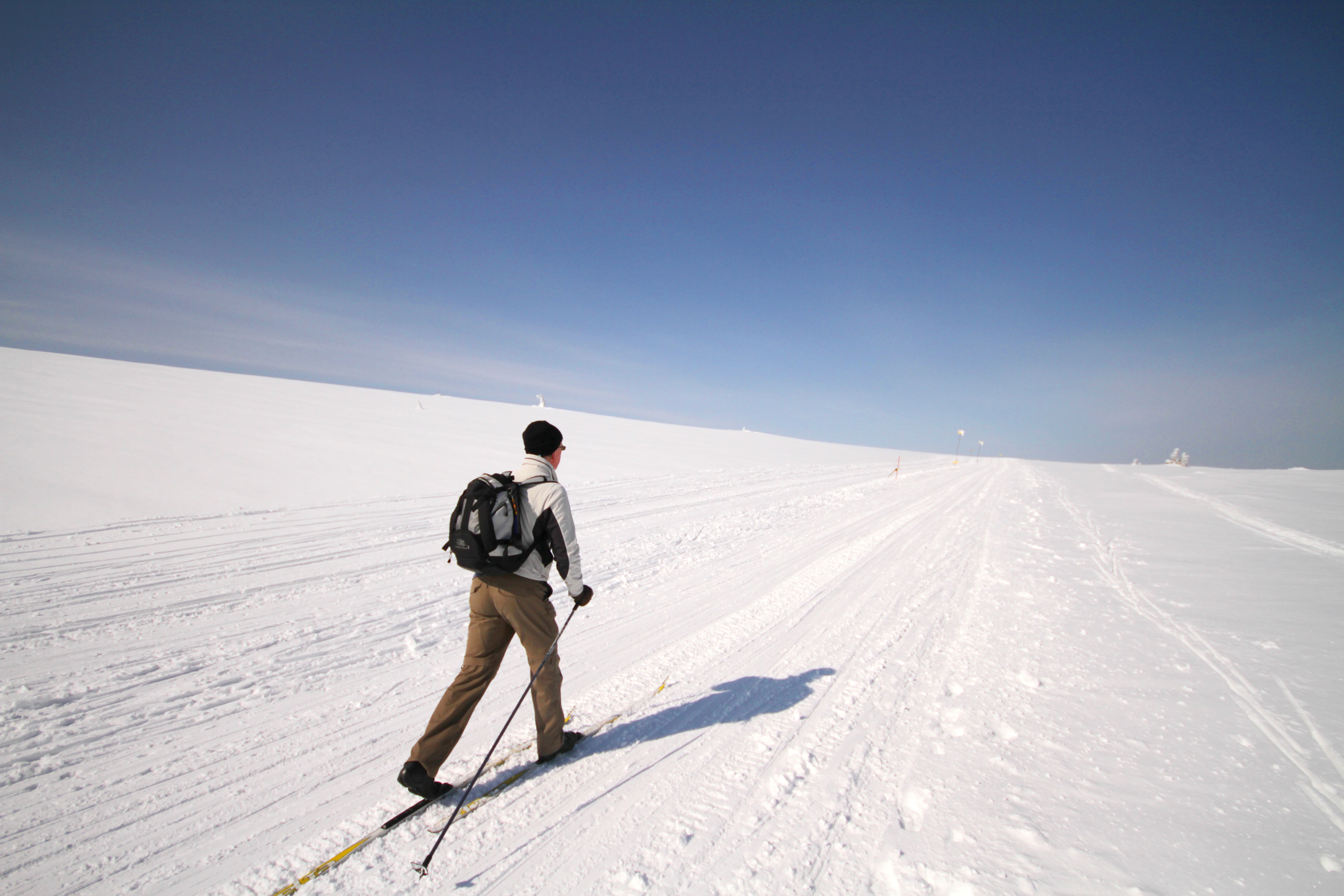 Ostrich Snow Skiing