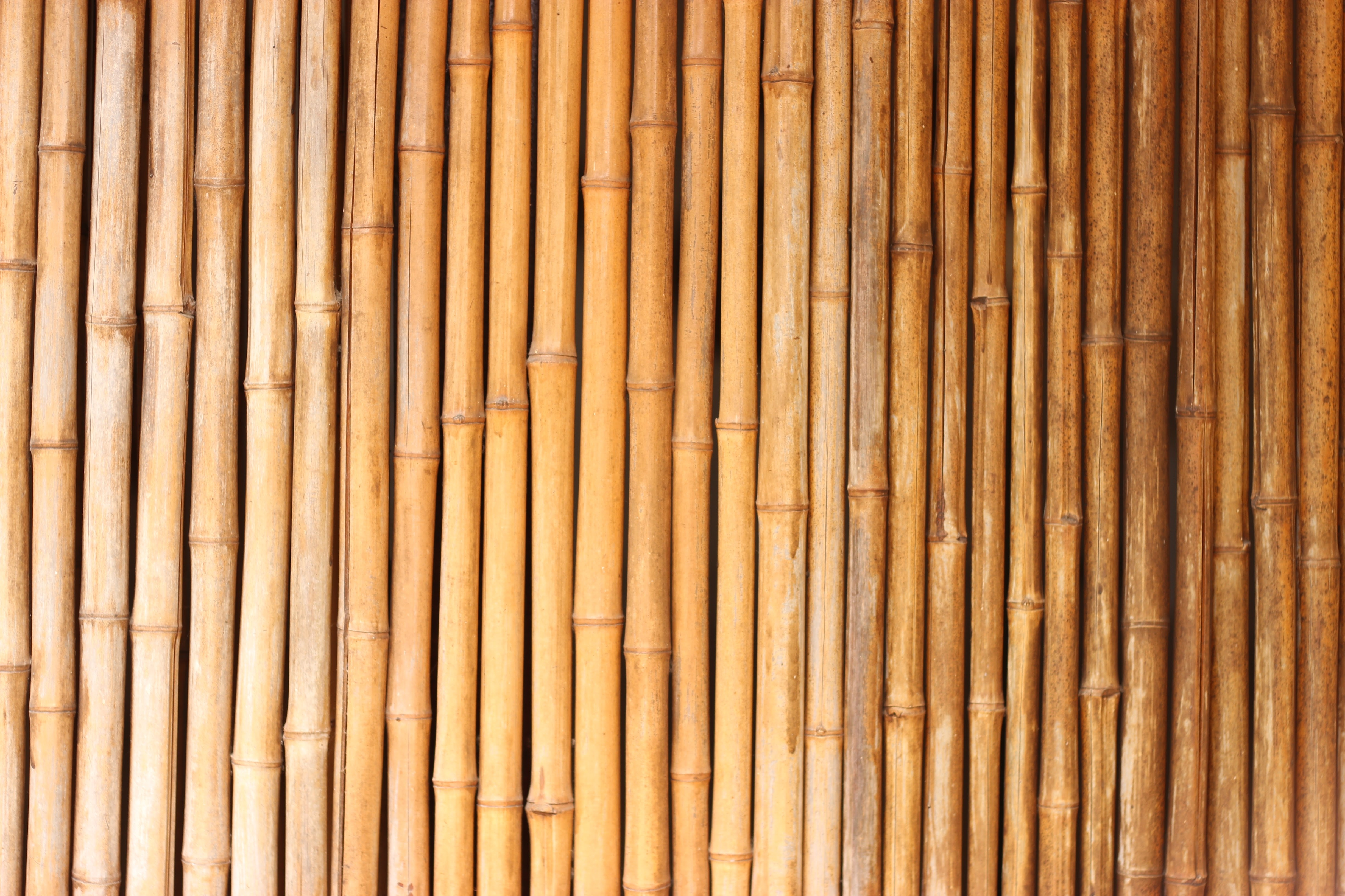 Bamboo Texture Wall Free Image