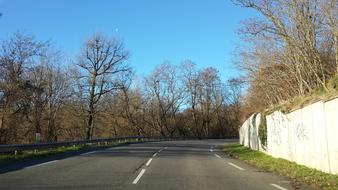 trees road fence