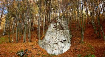 Paternity National Park Poland