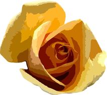 yellow rose watercolor