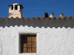 three Cats rest on Roof of old House