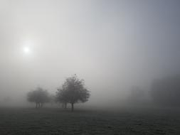 Fog Nature Mood