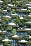 green plants on the facade of a high-rise building
