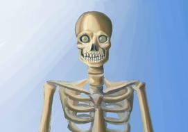 Skeleton Goggle-Eye Drawing