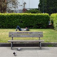 man sleeping on the lawn in the park