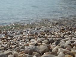 Stone Water Sea The