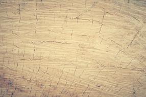 Backdrop wood drawing