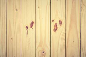 oak wall