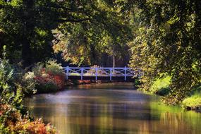 Bridge River Landscape