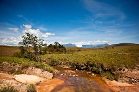 Landscape Bolivar