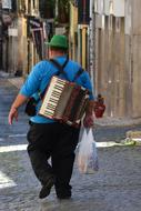 Accordion fat Musician