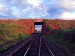 Train Line Sky Tunnel Aparecida Do