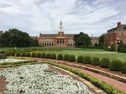 a beautiful meadow of flowers by the building