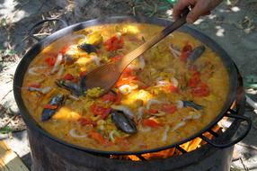 national spanish dish of rice