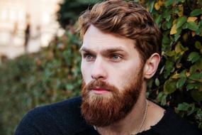 portrait of the red man with a beard