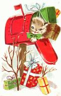 picture of a cat in a mailbox with christmas presents
