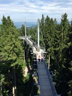 people passing the bridge in the park