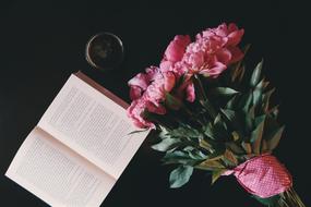 Bloom Blossom Book