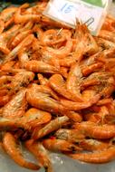 Prawns Seafood Gourmet