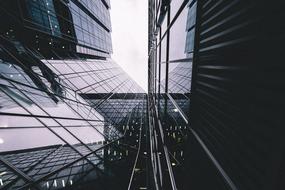 Wonderful cute glass architecture
