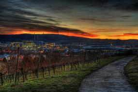 Daimler Stuttgart Bad Cannstatt landscape