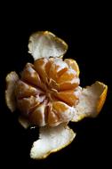 peeled tangerine peel