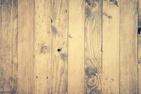 Abstract Antique Backdrop woods