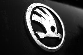 Logo of Skoda Car