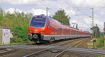 fast train in the forest