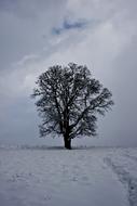 Cloud Snow Winter