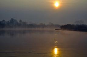 Spring River Landscape