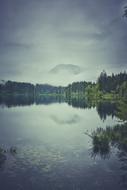 Foggy Lake Landscape