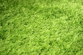 Macro Carpet Textiles green