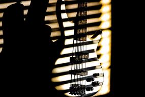 Bass Guitar Musi shadows