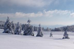 Winter Snow Panorama