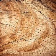 Abstract Antique wood drawing