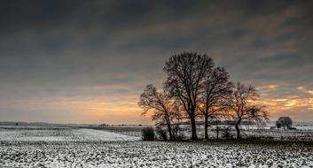 Winters Cold